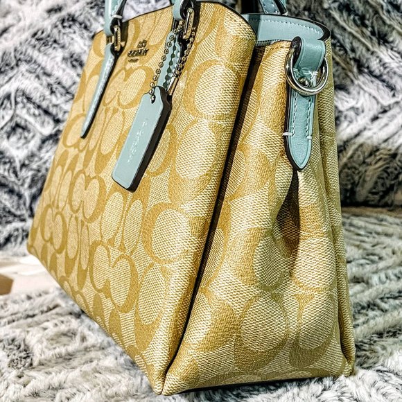 NWT - COACH MINI SAGE CARRYALL IN SIGNATURE CANVAS (F29434) - Picture 4 of 13